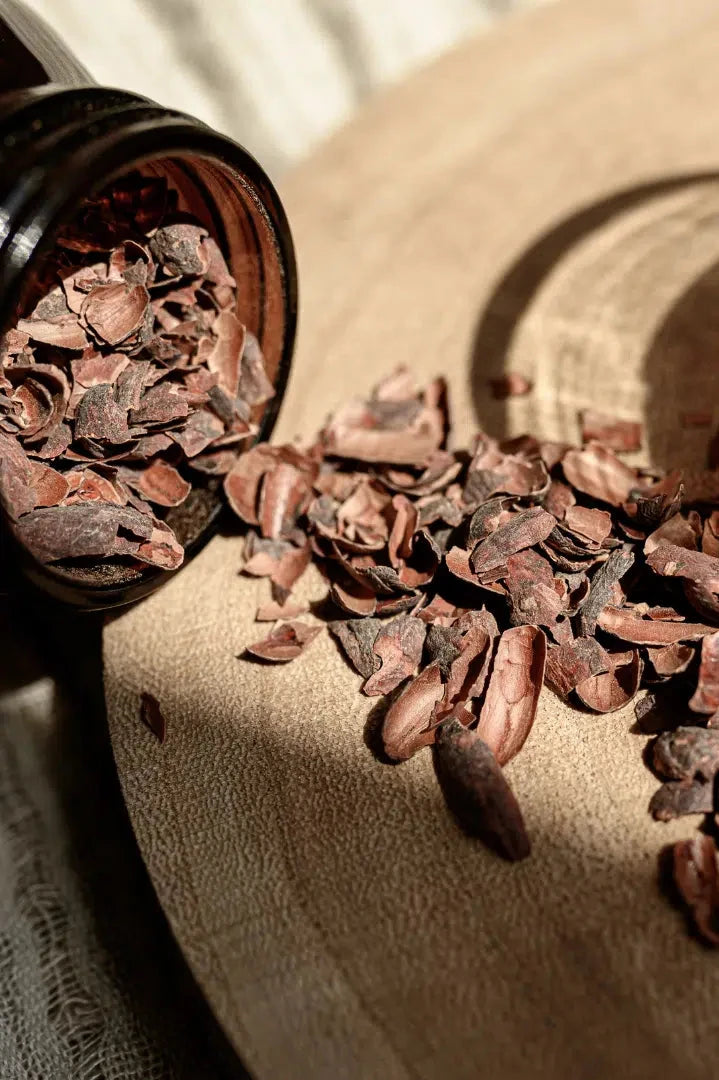 Infusion bio de fèves de cacao